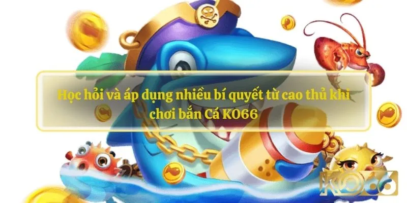 Học hỏi và áp dụng nhiều bí quyết từ cao thủ khi chơi bắn Cá KO66